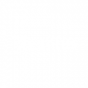 logo nautilus