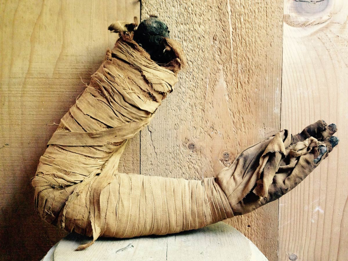 Fotografia di Fausto Gazzi. Braccio di mummia di epoca tolemaica da cui si deduce una posizione a braccia incrociate, riservata solo alle famiglie reali. Si tratta di un souvenir del periodo vittoriano, in cui era possibile acquistare in Egitto mummie o parti di mummie.