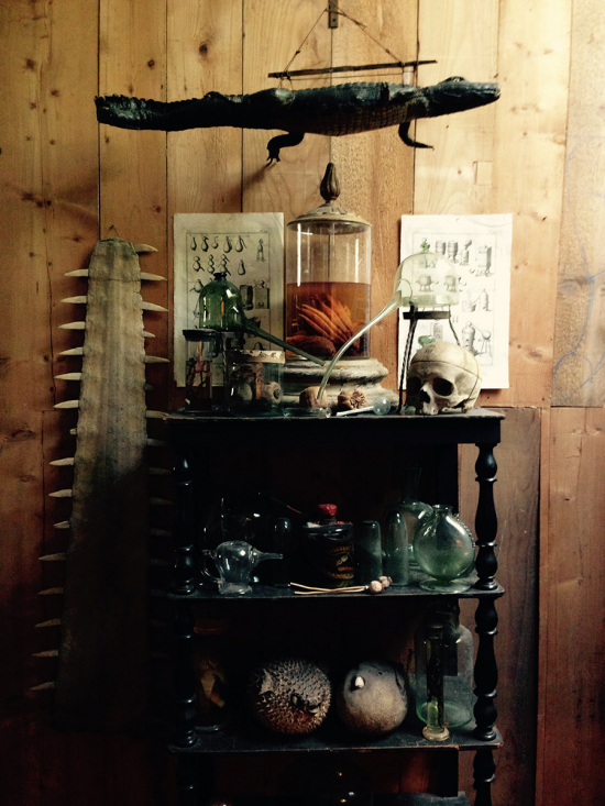 Photography by Fausto Gazzi. Alchemy collection.Display of ancient glass stills and laboratory glassware, all manufactured by glass factories in the Este dukedom of Modena from 1600 to 1700 (when chemistry hadn’t replaced alchemyyet).From top to bottom:Hanging from the wall, ancient crocodile with a papier-mâché head coming from an Eighteenth-century German factory; container with monstrous lemons in alcohol coming from Medicean citrus groves sided by two stills of green glass (very rare) and coral in alcohol under glass, in the forefront ancient poppy seed heads (loose and under glass), on the background wall two plates from Diderot’s Encyclopédie; rare Eighteenth century French bottle with reptiles in alcoholic preparation and ancient alchemic glasses; two globe fishes from an Eighteenth century Venetian Jesuit’s Wunderkammer, two glass jars with a salamander and a tropical fruit in alcohol.  