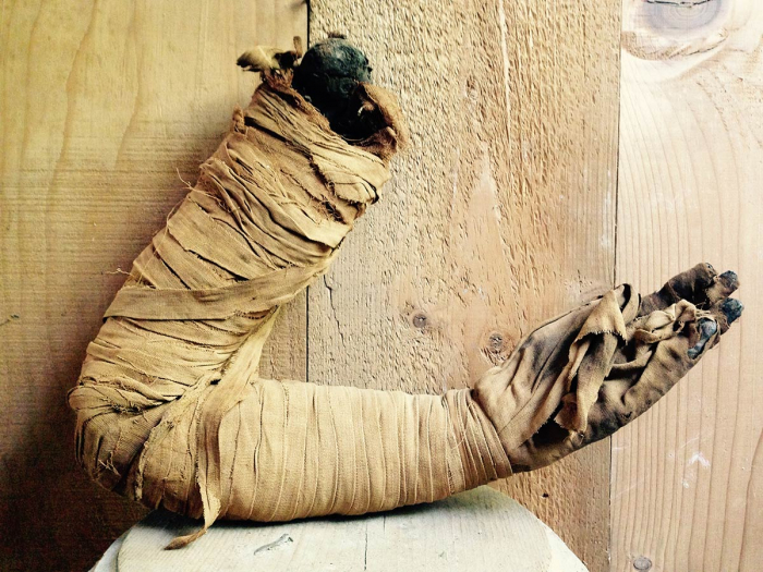 Photography by Fausto Gazzi. Mummy’s arm that suggests a position with crossed arms, a prerogative of royal families. It is a souvenir of the Victorian age, when you could buy mummies or parts of them in Egypt. 